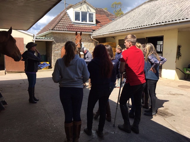 stable yard with teacher